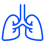 This image has an empty alt attribute; its file name is Lung-Icon-01-2.png